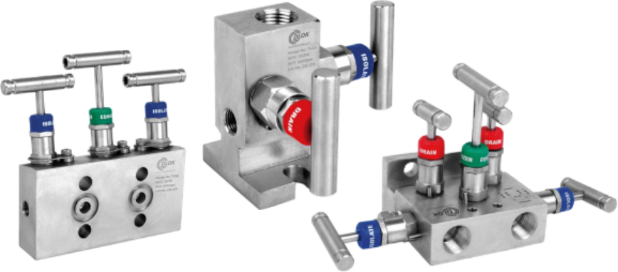 Manifold Valve